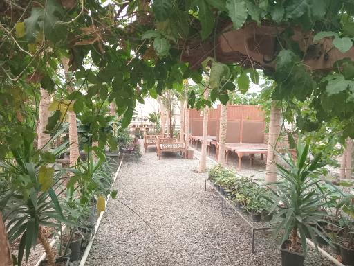 عکس کافه سهاگل