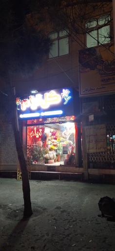 عکس گل فروشی تیام