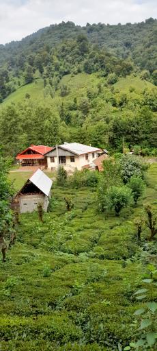 عکس بوم گردی اکبر