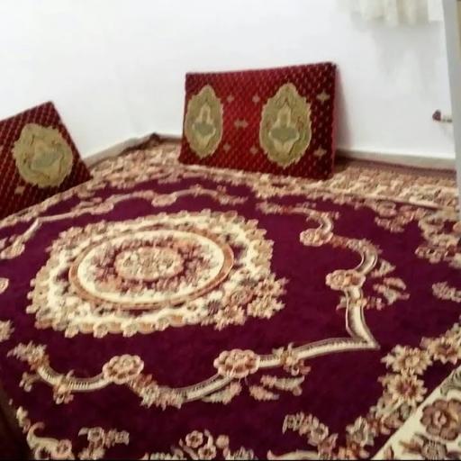 عکس بوم گردی اکبر