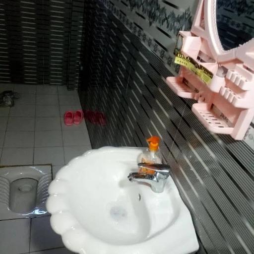 عکس بوم گردی اکبر