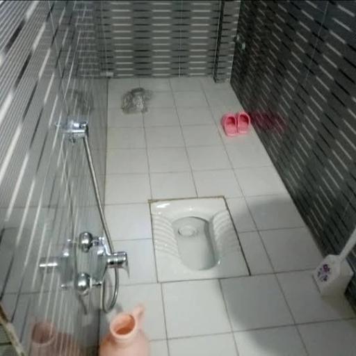 عکس بوم گردی اکبر