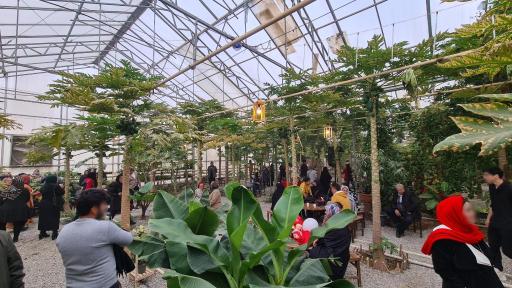 عکس کافه سهاگل