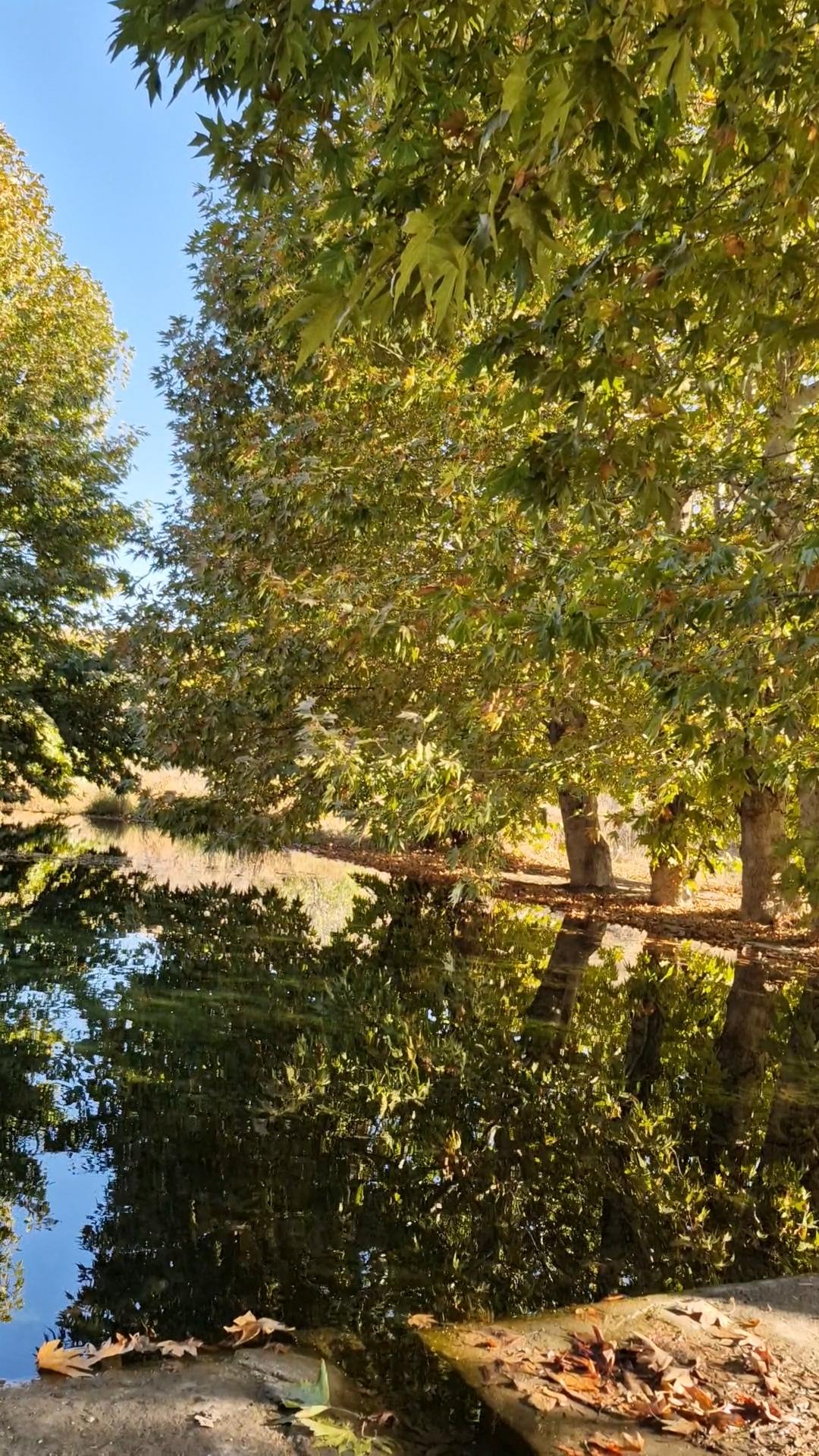 عکس بوستان طبیعی قلعه سرهنگ