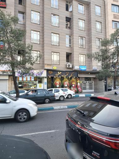 سکه تخت جمشید