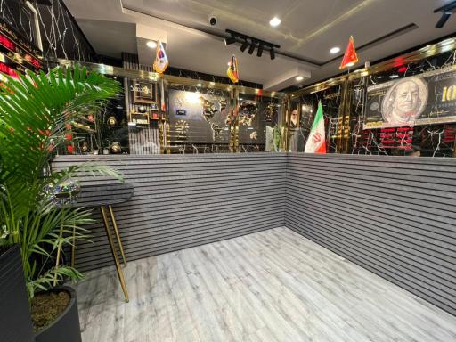 عکس سکه تخت جمشید