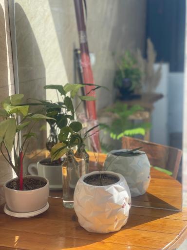 عکس کافه دوپیو 2