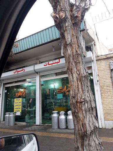 عکس لبنیاتی رضوان