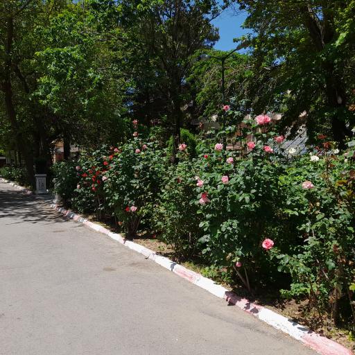 عکس تالار گلایول