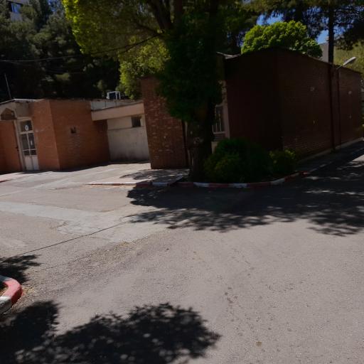 عکس تالار گلایول