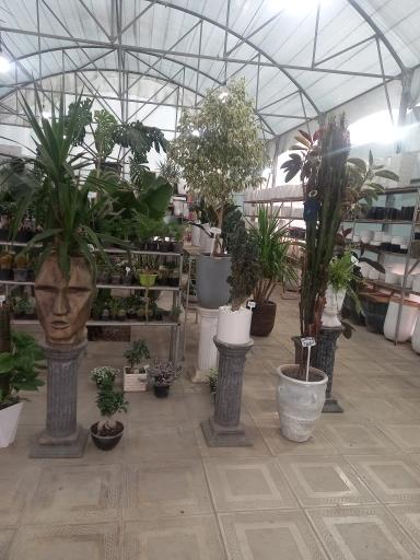 عکس گلخانه احمدی