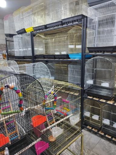 پخش چیکا (قفس و لوازم پرنده)