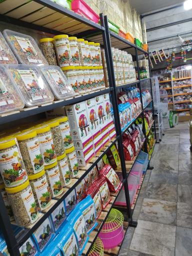 عکس پخش چیکا (قفس و لوازم پرنده)