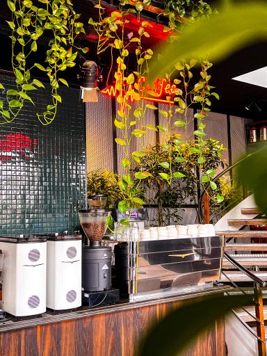 عکس کافه رستوران پاییز۸۱