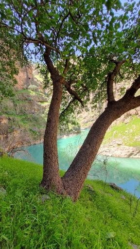 عکس دریاچه سد کارون 3
