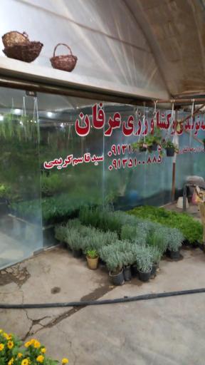 عکس گلسرای عرفان