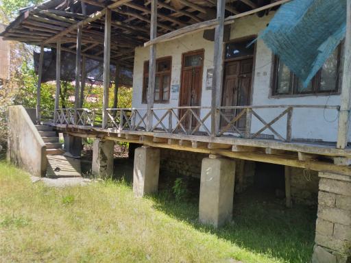 عکس کورنده