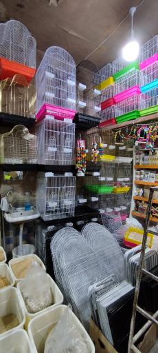 عکس پخش چیکا (قفس و لوازم پرنده)