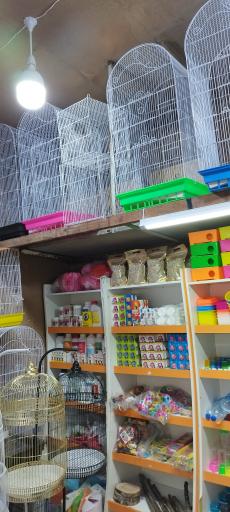 عکس پخش چیکا (قفس و لوازم پرنده)