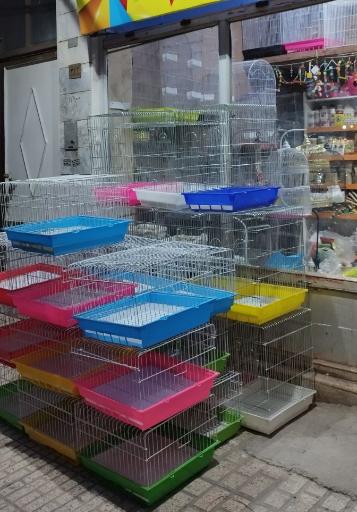 عکس پخش چیکا (قفس و لوازم پرنده)
