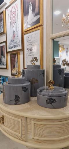 عکس گالری شینا