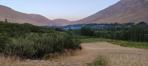 عکس ونایی