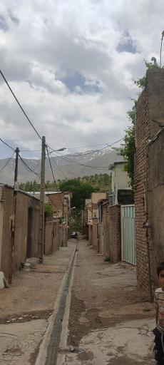عکس ونایی