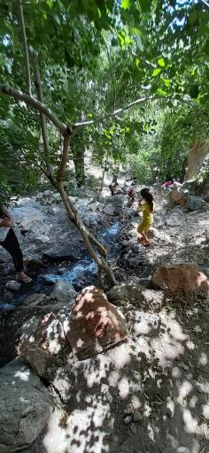 عکس آلاچیق و محل تفریح شاهلولاک