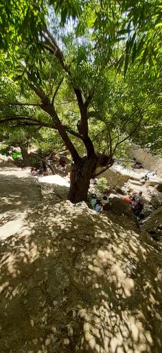 عکس آلاچیق و محل تفریح شاهلولاک