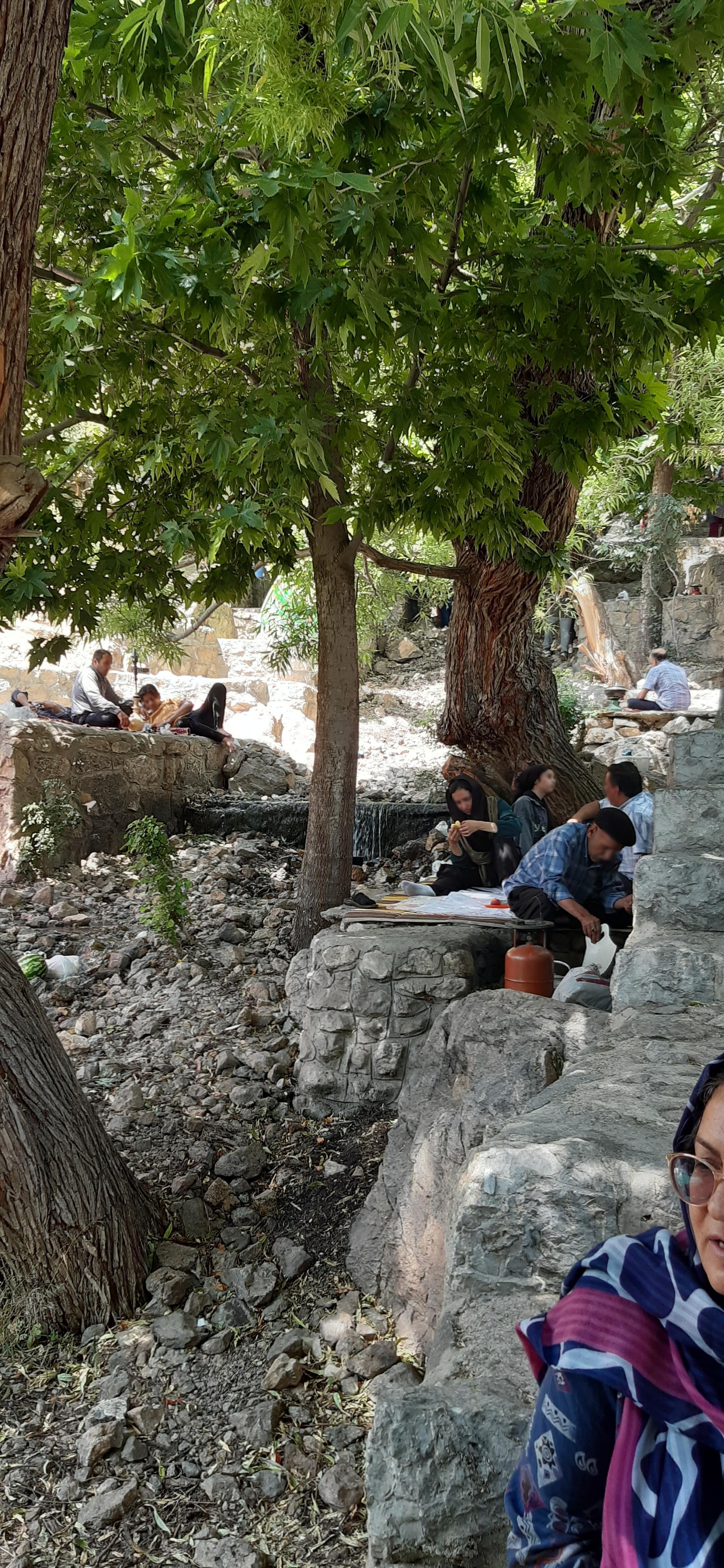 عکس آلاچیق و محل تفریح شاهلولاک