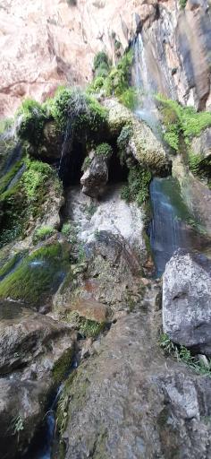 عکس آلاچیق و محل تفریح شاهلولاک