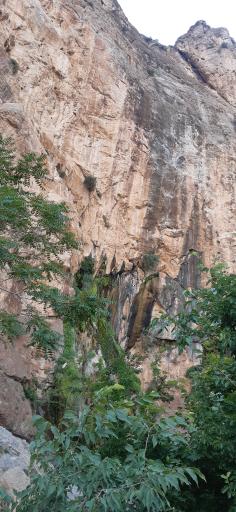 عکس آلاچیق و محل تفریح شاهلولاک