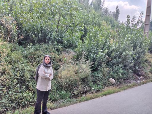عکس ونایی