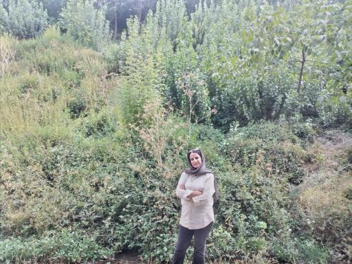 عکس ونایی