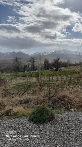 عکس ونایی