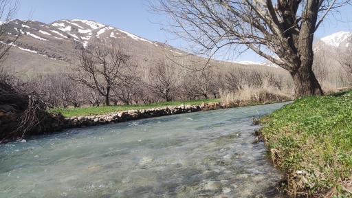 عکس ونایی