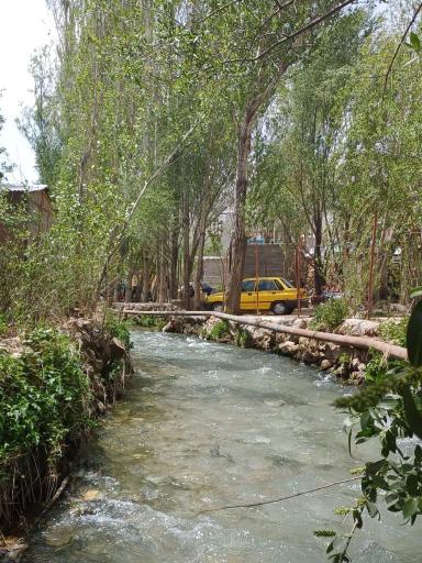 عکس ونایی