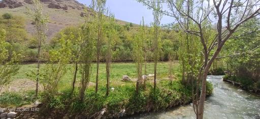 عکس ونایی