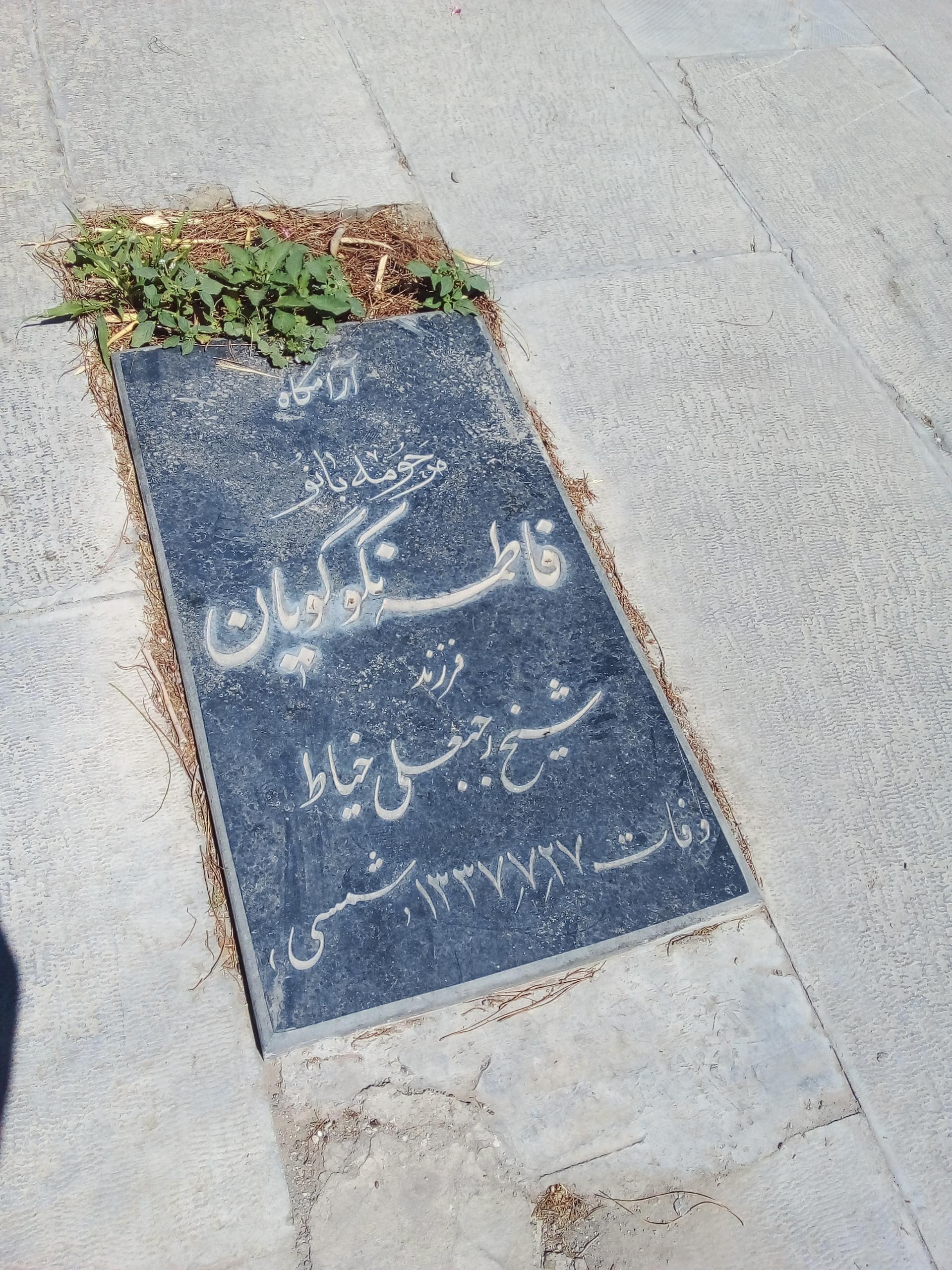 عکس مزار فاطمه نکوگویان