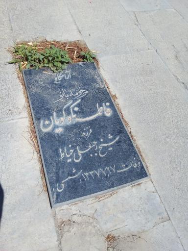 عکس مزار فاطمه نکوگویان