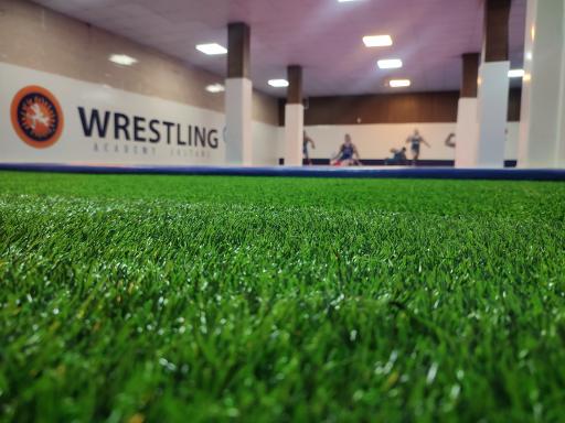 عکس آکادمی کشتی سلطانی