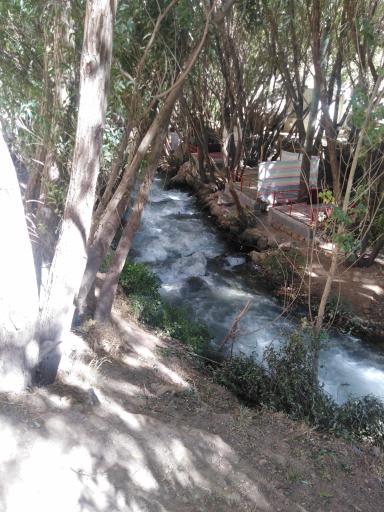 عکس ونایی