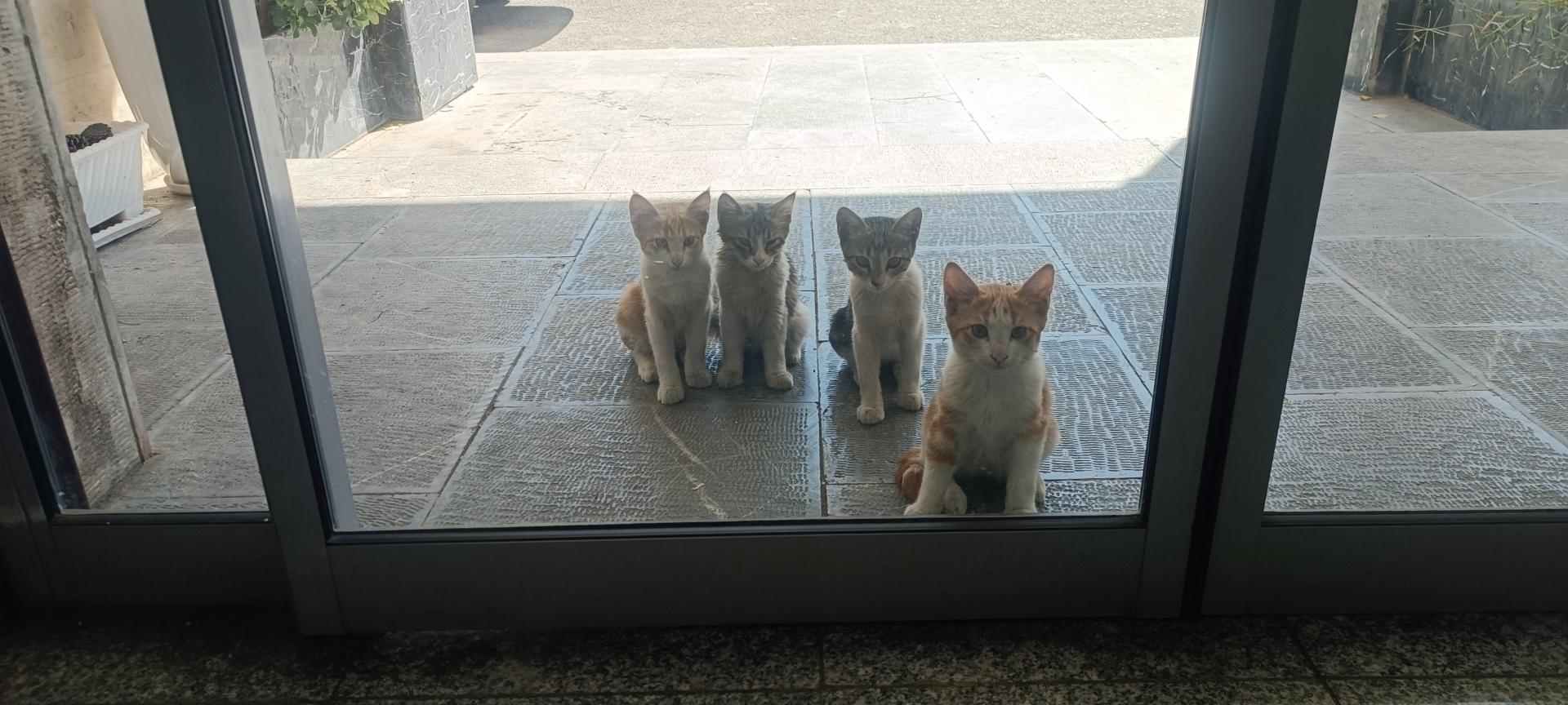 عکس هتل دانش تهران