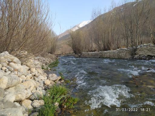 عکس ونایی