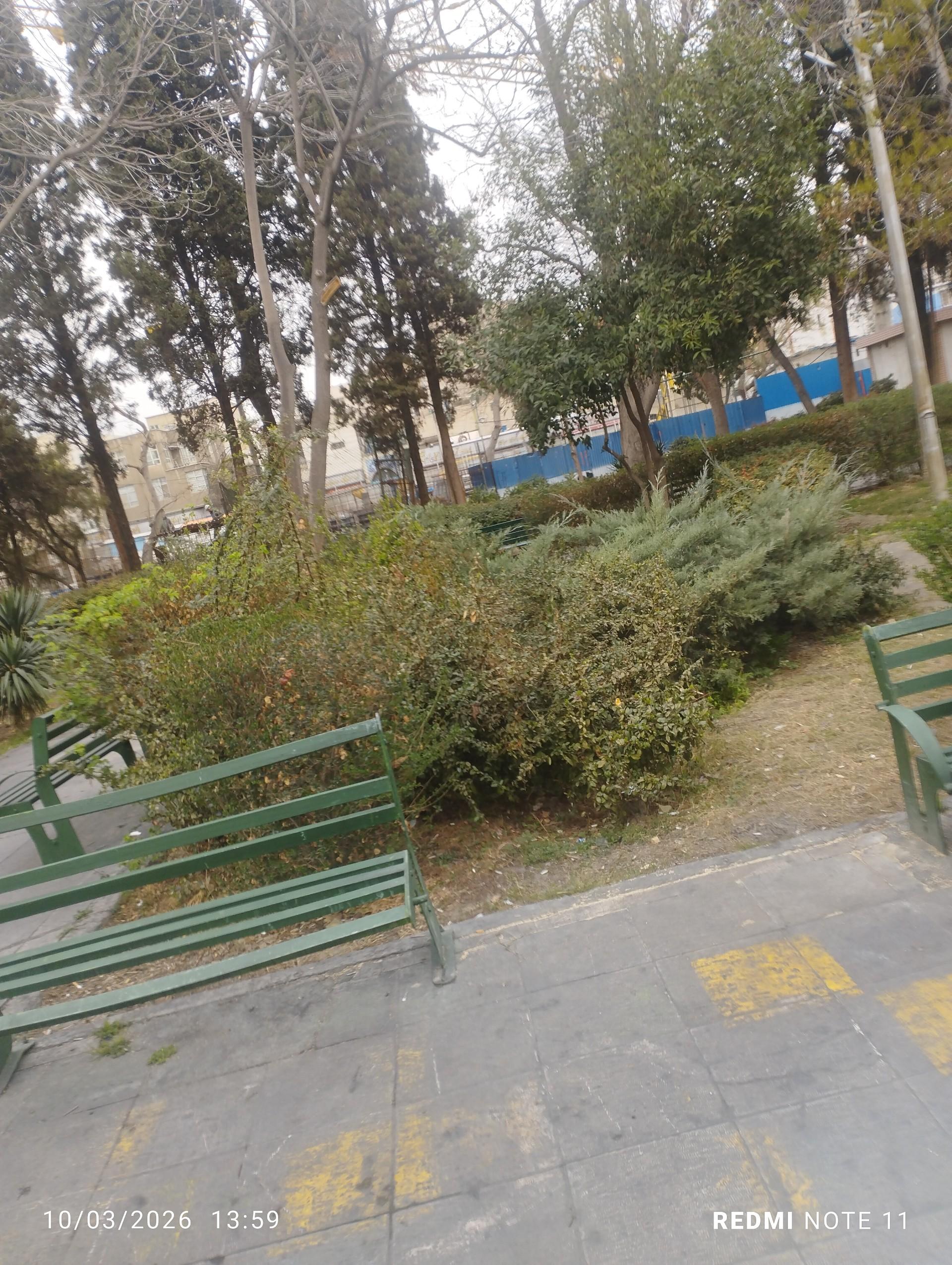 عکس پارک