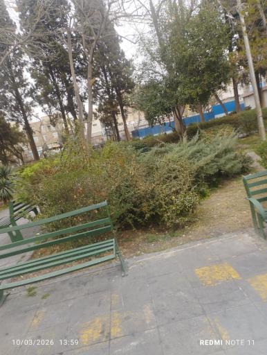 عکس پارک
