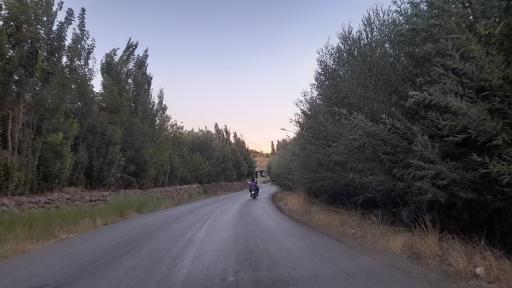عکس ونایی