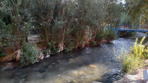 عکس ونایی