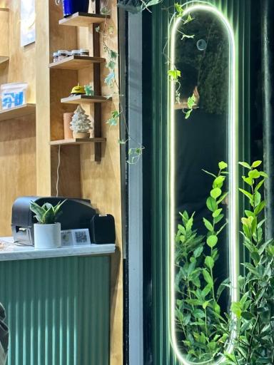 عکس کول کافه 