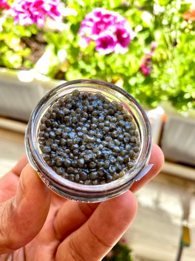 عکس کافه رستوران تابان